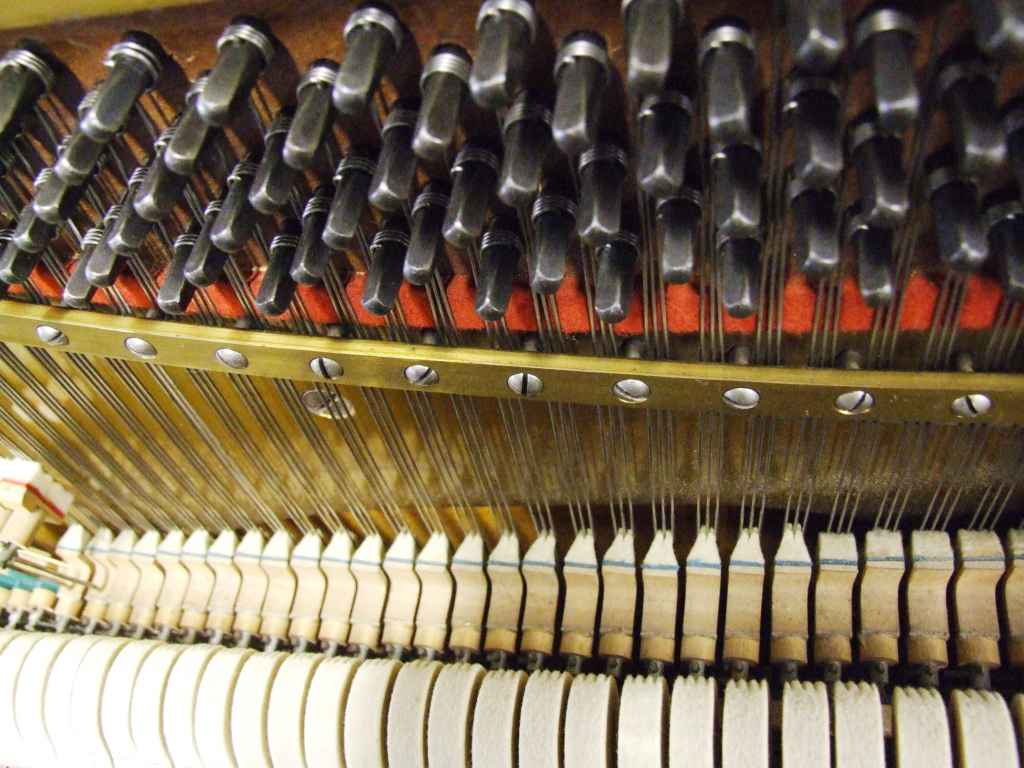 Bosendorfer  - dealers in Steinway grand pianos baby grand pianos, Fazioli, Bosendorfer, Bechstein, Bluthner, Yamaha